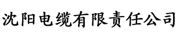 全世界最好的你全集在线观看电缆厂logo